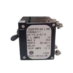  IEG666-1-63-10.0-01-V